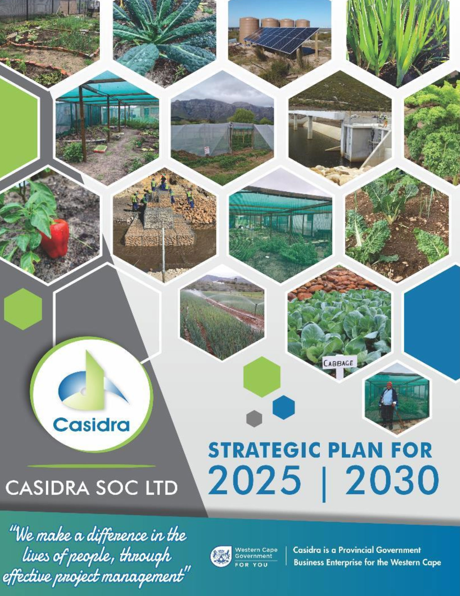 Strategic Plan