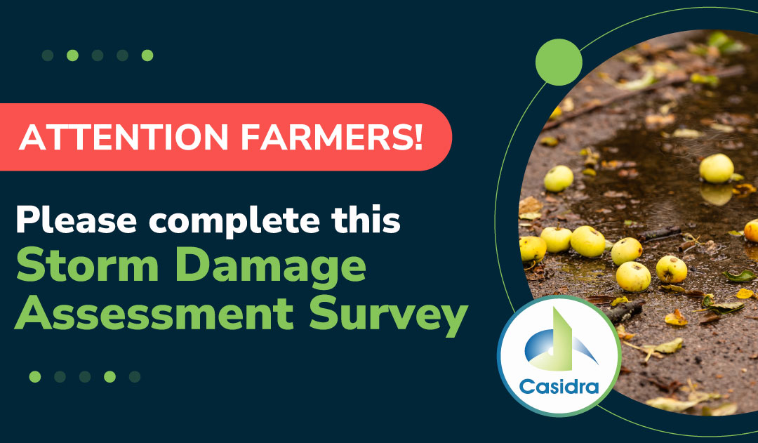 Casidra Flood Survey Web2