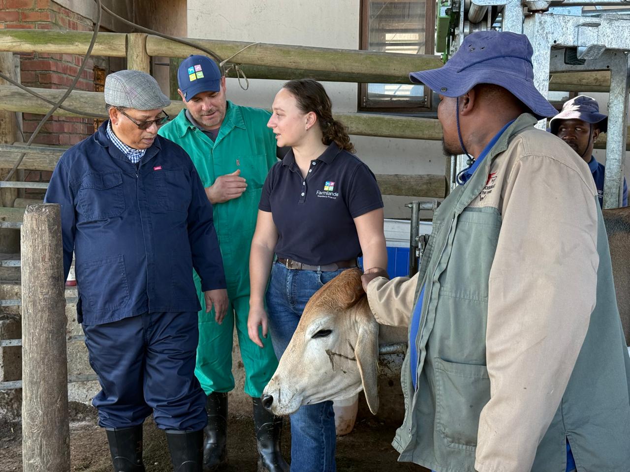 Photo 1: Western Cape Minister of Agriculture, Economic Development and Tourism, Dr Ivan Meyer (left), engages with Ms Leana Eksteen, Junior Farm Manager at Braams Voerkrale, and Dr Cilliers Louw, Private Veterinarian, during a visit to the feedlot. The visit formed part of ongoing efforts to strengthen biosecurity measures and support livestock producers in the province's response to Foot-and-Mouth Disease (FMD).