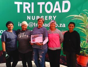 Tritoad Ladies