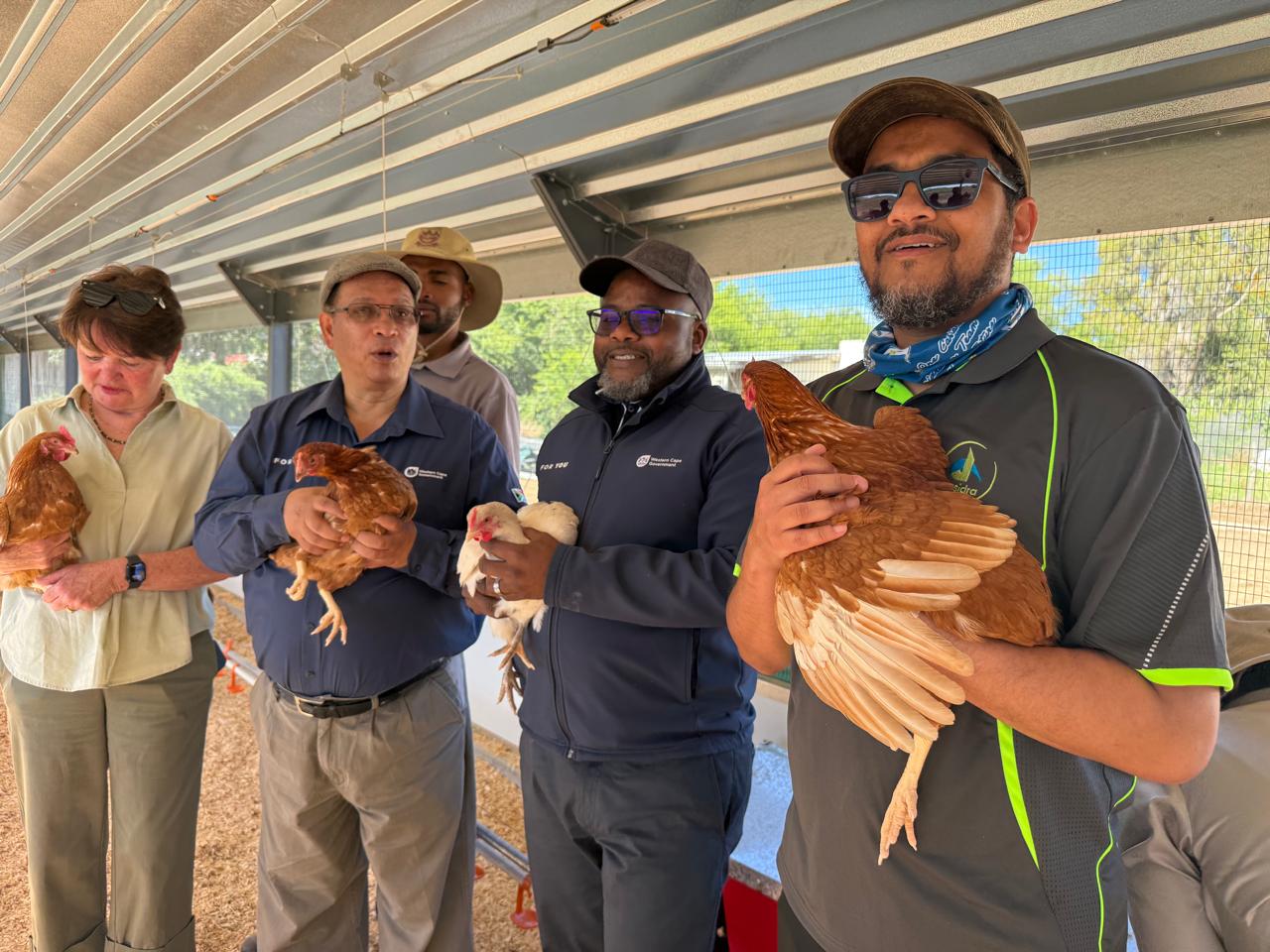 Minister Meyer Visits Chicken Production Unit In Prince Albert